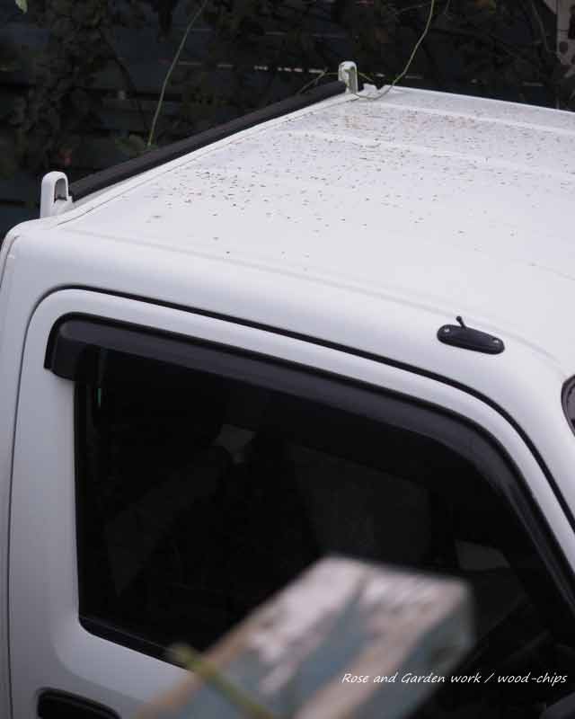 車の屋根に付くチュウレンジハバチの糞