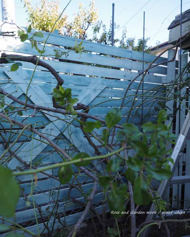 アイアンと合わせたつるバラのフェンス